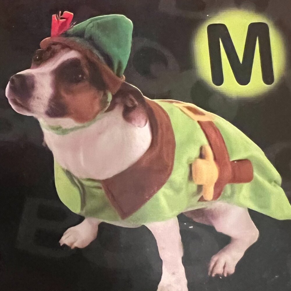 Disney Peter Pan  - Halloween Costume